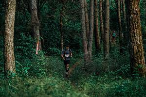 BIB: 
                            <button type="button" onclick="openModal(25237168)" class="btn btn-primary btn-sm float-right btn-popup" data-toggle="modal" data-target=".modal-high-quality">
                        <i class="fas fa-shopping-cart"></i> Add to Cart
                    </button>
                                            <button type="button" onclick="isThisMe(25237168, true)" class="btn btn-success btn-sm float-right btn-popup btn-isme hidden" data-toggle="tooltip" data-placement="bottom" title="นี่คือรูปของคุณใช่ไหม คลิกที่นี่เพื่อเอาเข้าอัลบั้ม">
                        <i class="fas fa-plus"></i> Add to album
                    </button>
                    <button type="button" onclick="isThisMe(25237168, false)" class="btn btn-warning btn-sm float-right btn-popup btn-isnotme hidden">
                        <i class="fas fa-ban"></i> Remove from album
                    </button>